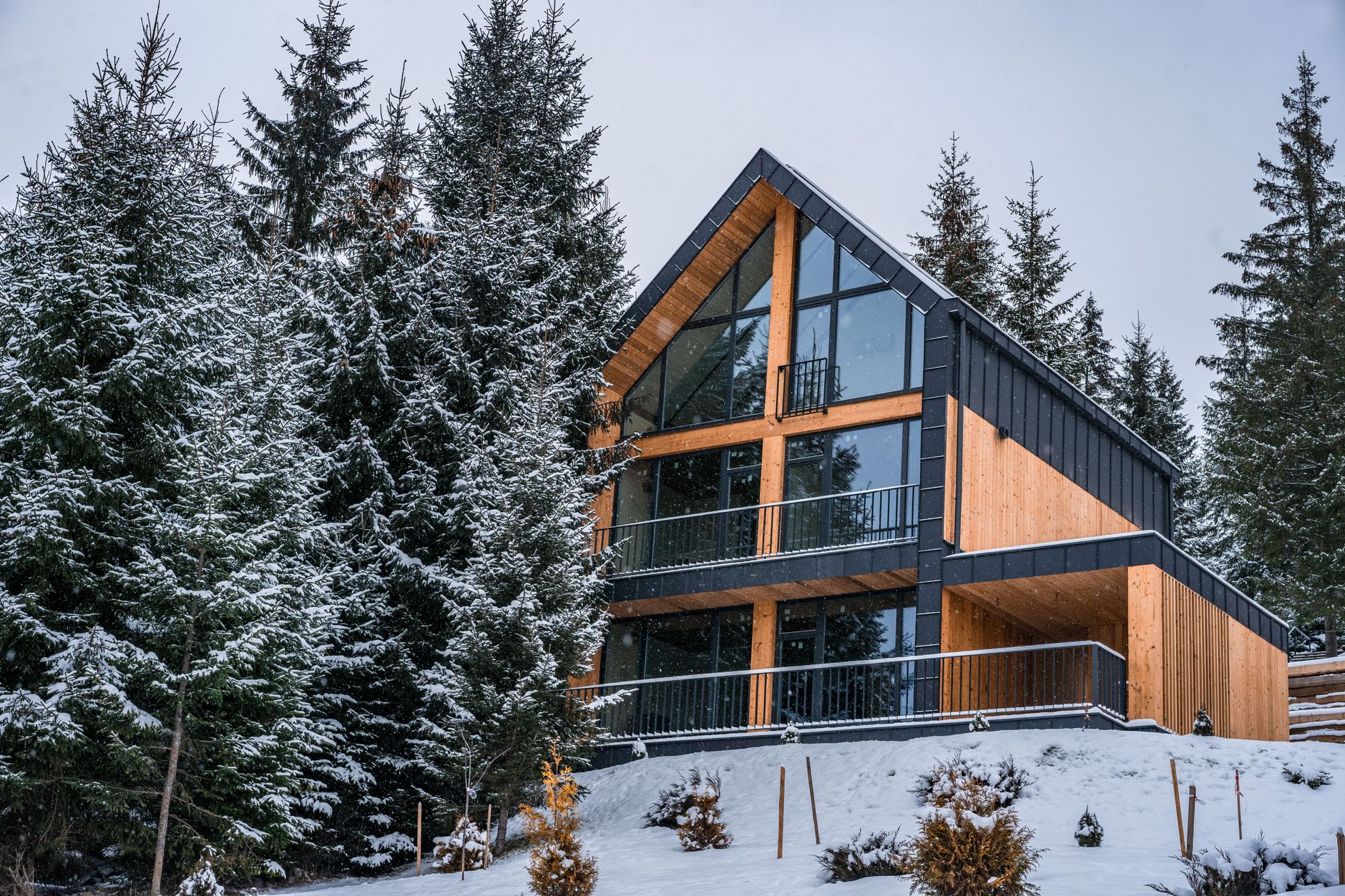 Minimalist Alpine Cabin in the Mist
